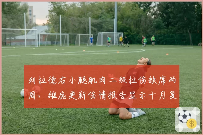利拉德右小腿肌肉二级拉伤缺席两周,雄鹿更新伤情报告显示十月复出