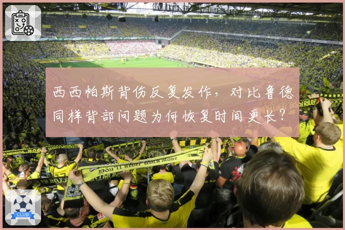 西西帕斯背伤反复发作，对比鲁德同样背部问题为何恢复时间更长？